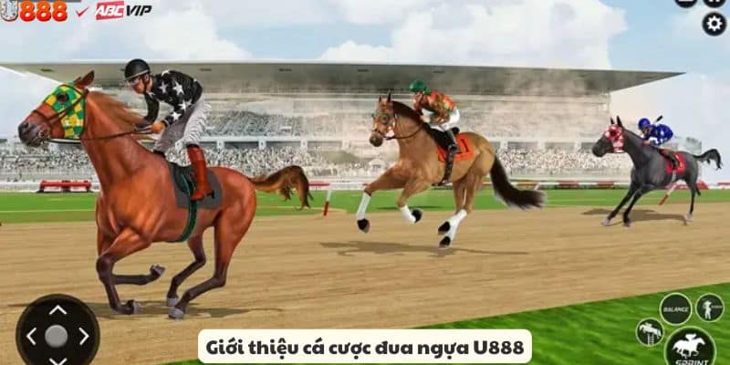 Tổng quan đua ngựa tại U888