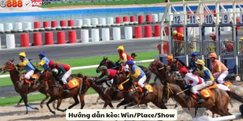 Các loại kèo đua ngựa U888